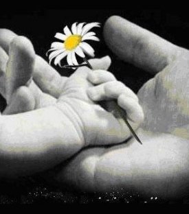 ‘’ANNELER’’ Günü (!)