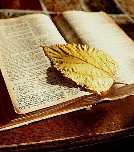 ÖĞRENCİ OKURLARIMIZDAN KİTAP İÇİN YAZILMIŞ SATIRLAR 4