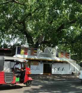 SRİ-LANKA’DA MÜSLÜMAN OLMAK YA DA PUTLAR ARASINDA KULLUKTA SEBAT ETMEK