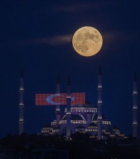 Ağaç Yaş İken Eğilir!