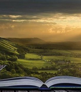 Ağaç Yaş İken Eğilir!