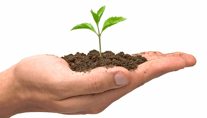 İSLAM ÜLKELERİNDEKİ EĞİTİMDE İMAM HATİP MODELİ