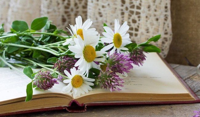 Şehit Mehmet Yılmaz Kız Anadolu İmam Hatip Lisesi Öğrencilerimizden 2