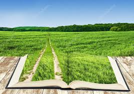 İsmail Hakkı Gelenbevi İmam Hatip Ortaokulu Öğrencilerimizden 4