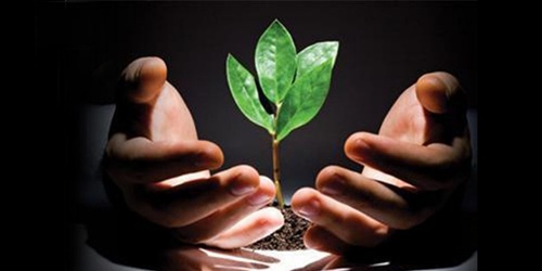 EMANET, EHLİYET VE LİYAKAT